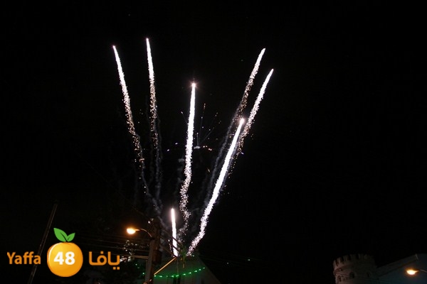 tree light 1208 (146).JPG